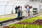 Back from his solo tours to nearby African countries, Prince Harry joined his wife in Johannesburg to visit the Youth Employment Services (YES) Hub in Tembisa. The hub hosts various entrepreneurial and skills programmes, and boasts an array of facilities, including an aquaponic farm.