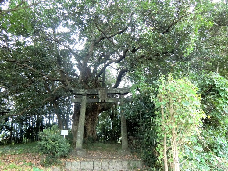 葵神社's image 1