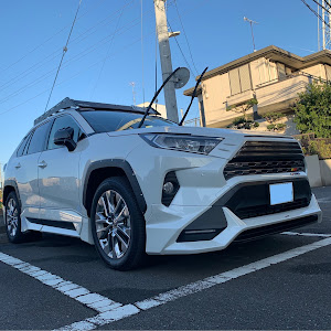 RAV4 MXAA54