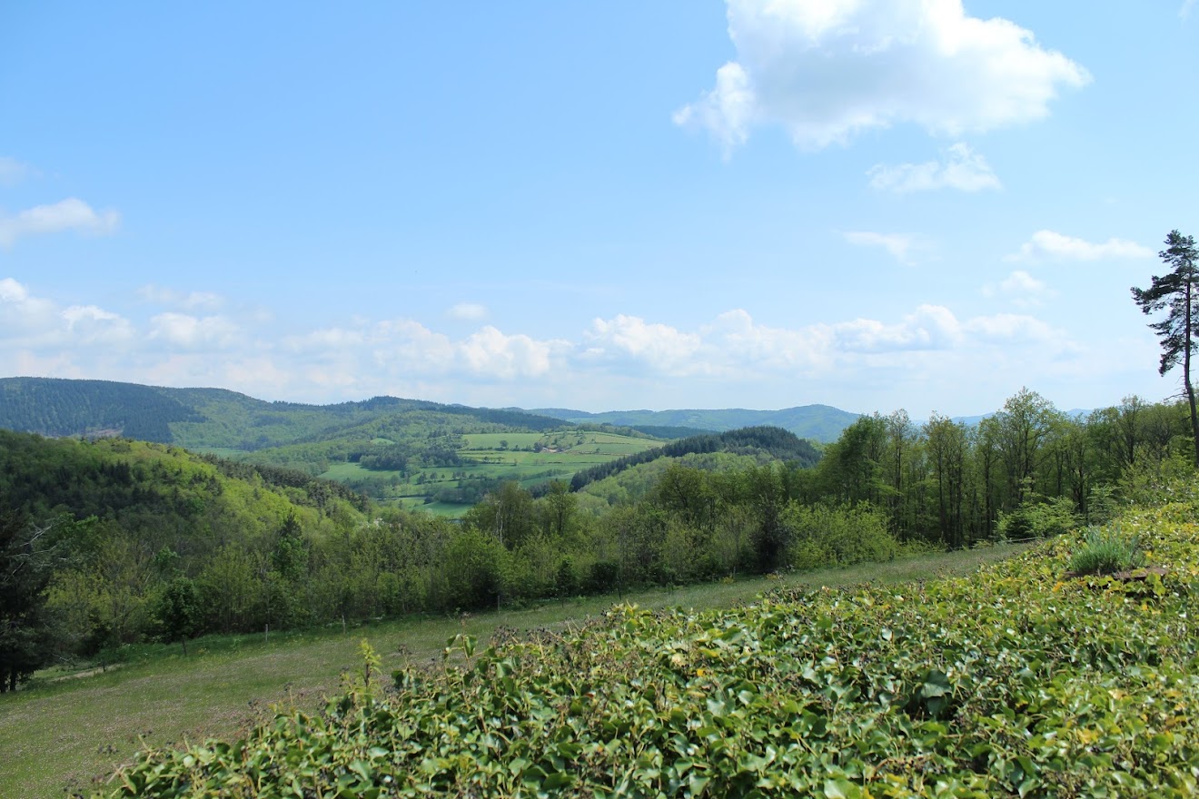 rando, les 3 château à Broffres ZBJuK8TYjhFUVOpS0cLYDj2eTcnxPma4mADqrAVjsQiV2ixdegehdotuWtIK2YgKeCT1yamgXp4tGDt1QcL0HfX_P_LqZS6VLKCZSjlHzqE5Rx-YLnNnOdLrVQIZF1fivKLHFud8kO9SXRZKKZqE2Lw-pYy-ynKlWbE4-vgsmGHN_Un71YDFxNeoZCnI6xTzeAy4AziIRI2kT5_c2bqTarQasmKTMuzOoNApwI5rDaM07qyn8bl9Nx4ldR1UO09lLpeyUfBgCtkwXq2QtMadqNqbiJMCPU0knSdSLrtXwVd-G37uFQp4XqKMifGneKMdmhc2PKa3t8Zxev-Vtnswj_vQlnUyDxthBQVB4jlB_3cMuxlQJoP1yE4xAYCujfCvug6IrBcSDh1cO9ERj15ymNJPuNkfFKQrf189xsGdZQN3Ycixx_hmUJw5RnzmV60vG3-v8OsgNGXWldD5gfeiZGMtdW6ESHDrs6ucWpqRd9GiVFPrnNVjR2Gjr-Xe68lkb2CHfLw-RdzR_Nu_7KCMYlGl0ryqnw6zHVyzVA8b0ot4oH1rhGprYicWNzusR0MXWaEpTcvuR9HRAOpm7RejfC9fLq12EElk=w1320-h880-no