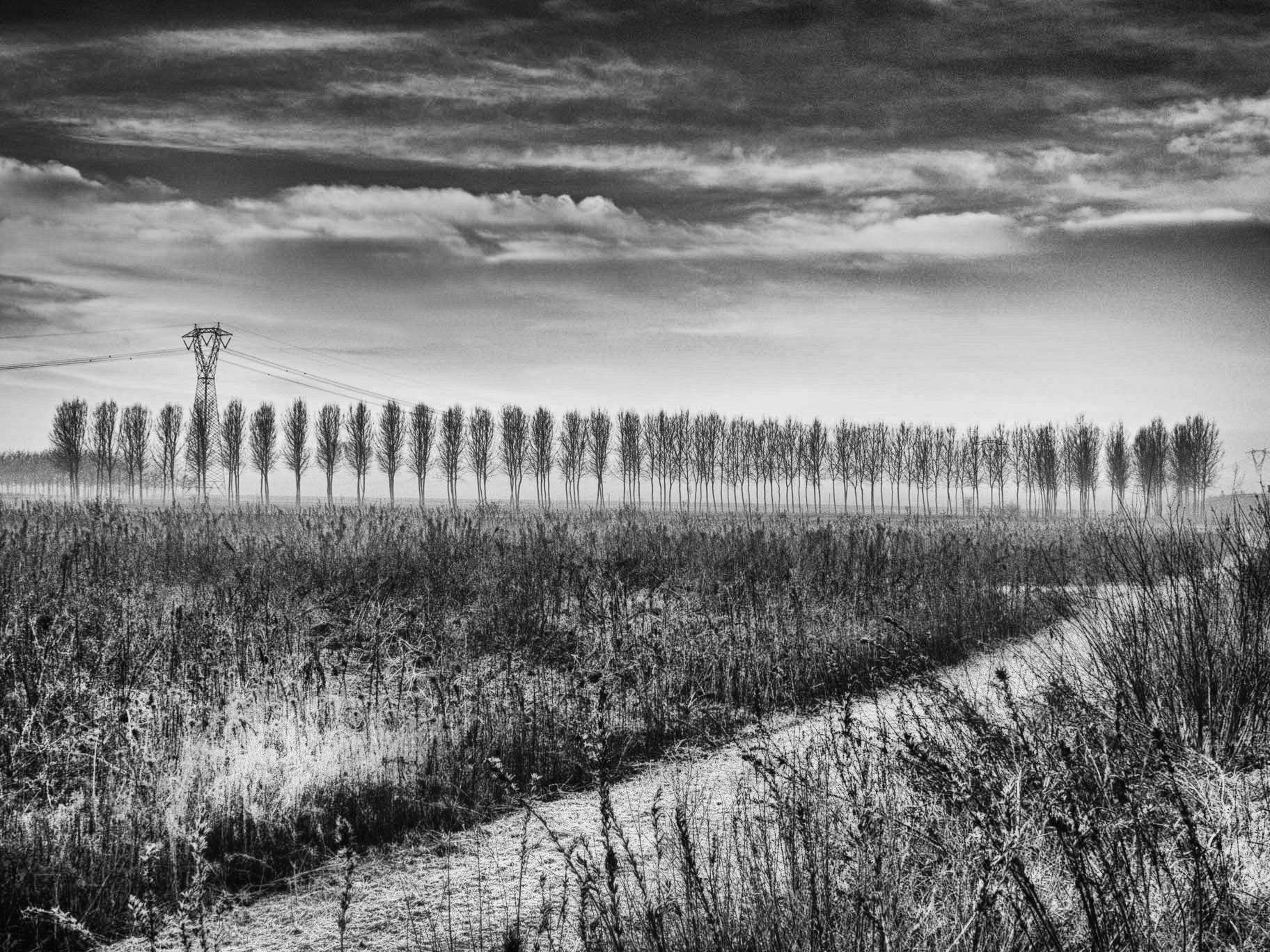 campagna di Moretti Riccardo