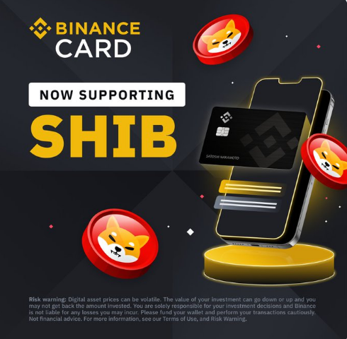 Shiba Inu Coin Price Prediction 2023 - 2032: Is SHIB Skyrocketing Soon? 1