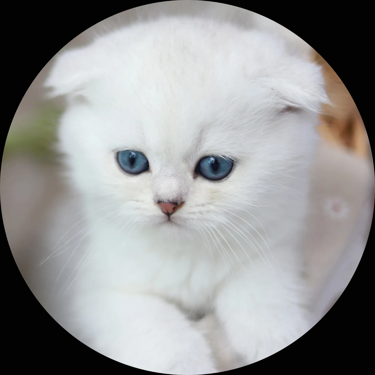 images slider number - 2