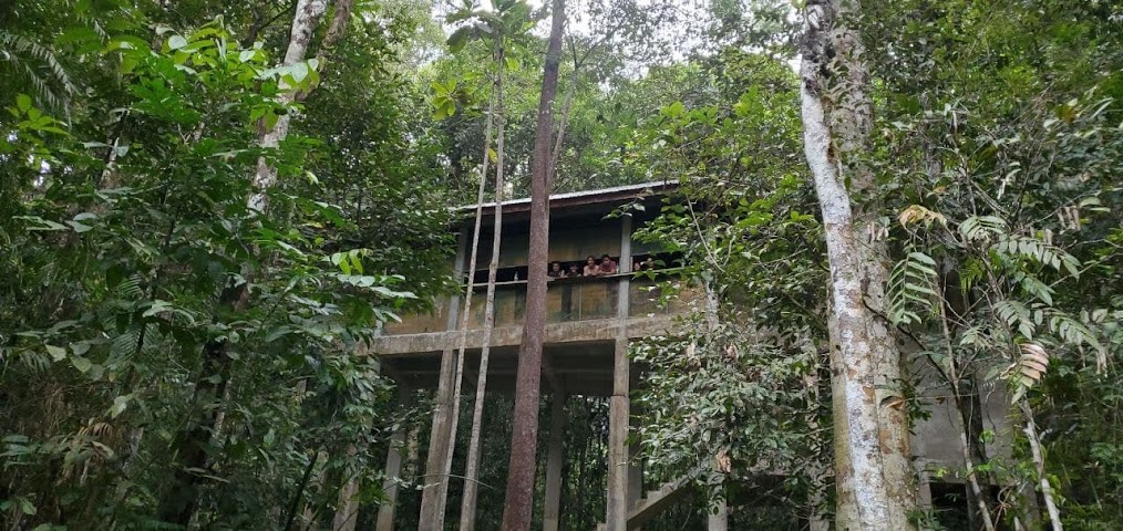 Bumbun Rimau Taman Negara wildlife watching