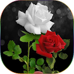 Cover Image of Tải xuống Flowers Gifs And Roses Live Wallpapers 11.9.1 APK