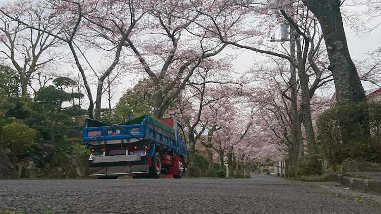 の投稿画像1枚目