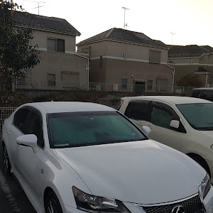 GS GRL10