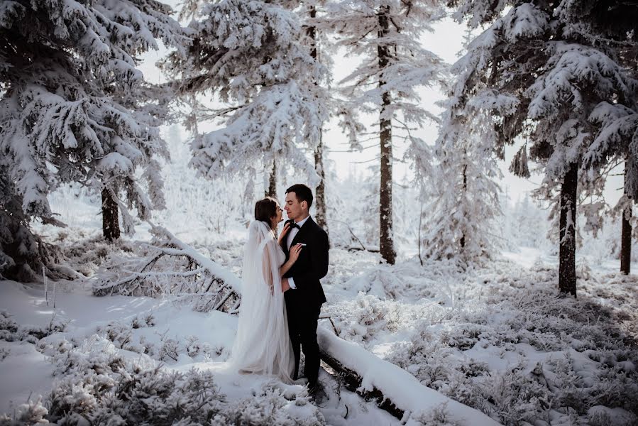 Fotógrafo de casamento Dorota Bieniek-Magiera (dorotabieniek). Foto de 26 de fevereiro 2021