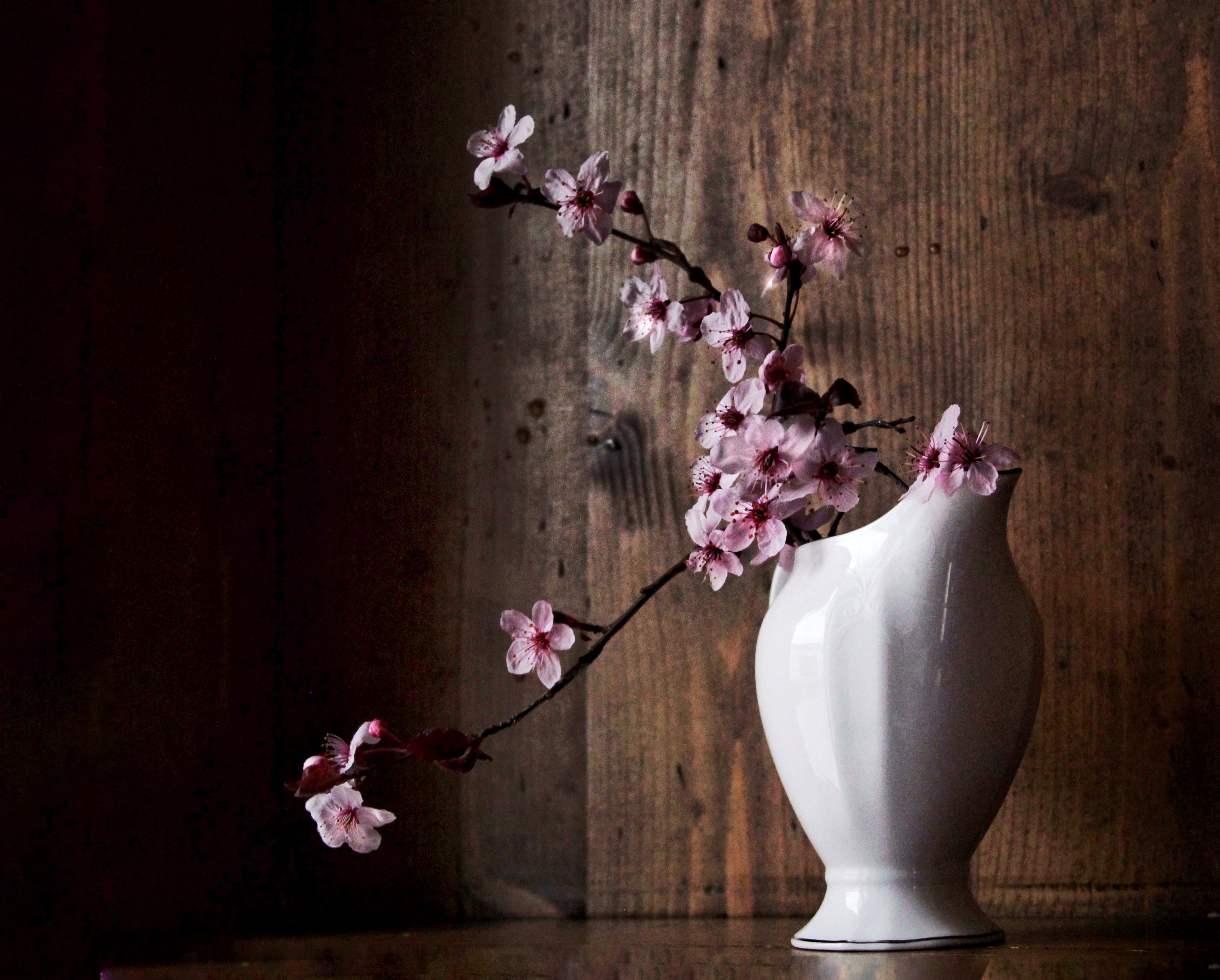 I primi fiori di GabriellaErri