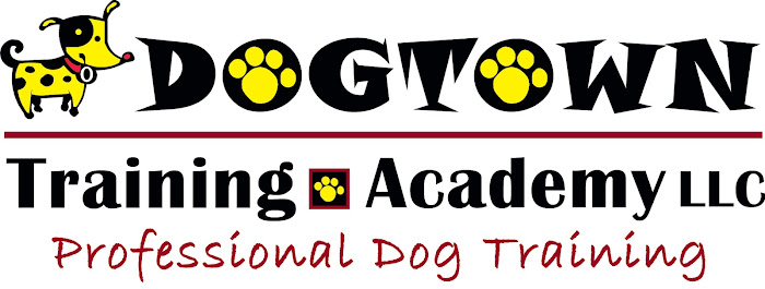 Dogtown Training Academy, LLC