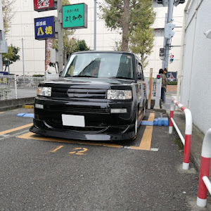 bB NCP31