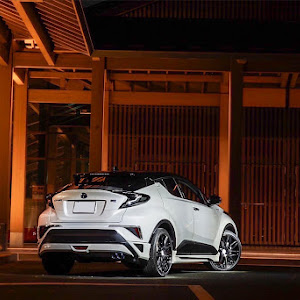 C-HR ZYX10