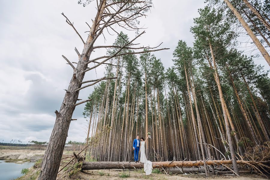 婚禮攝影師Dmitriy Kiyatkin（dphoto）。2016 11月25日的照片