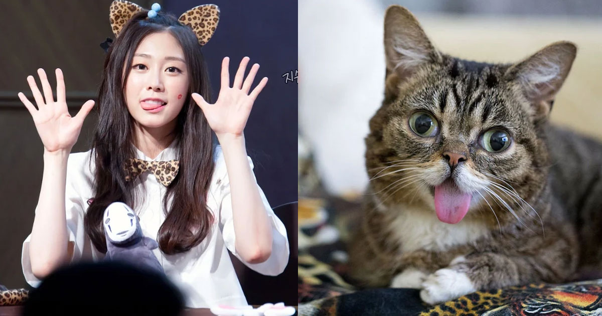 5 of the Most Scaredy Cat Idols