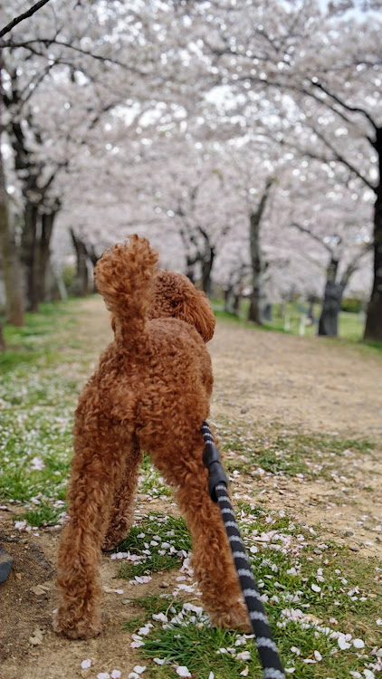 の投稿画像6枚目