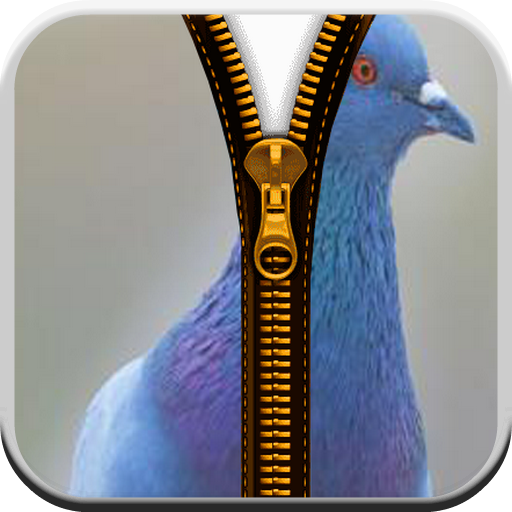 Pigeon Zipper Screen Lock 娛樂 App LOGO-APP開箱王
