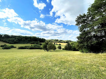 propriété à Is-en-Bassigny (52)