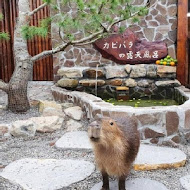 阿嬤蔥油餅