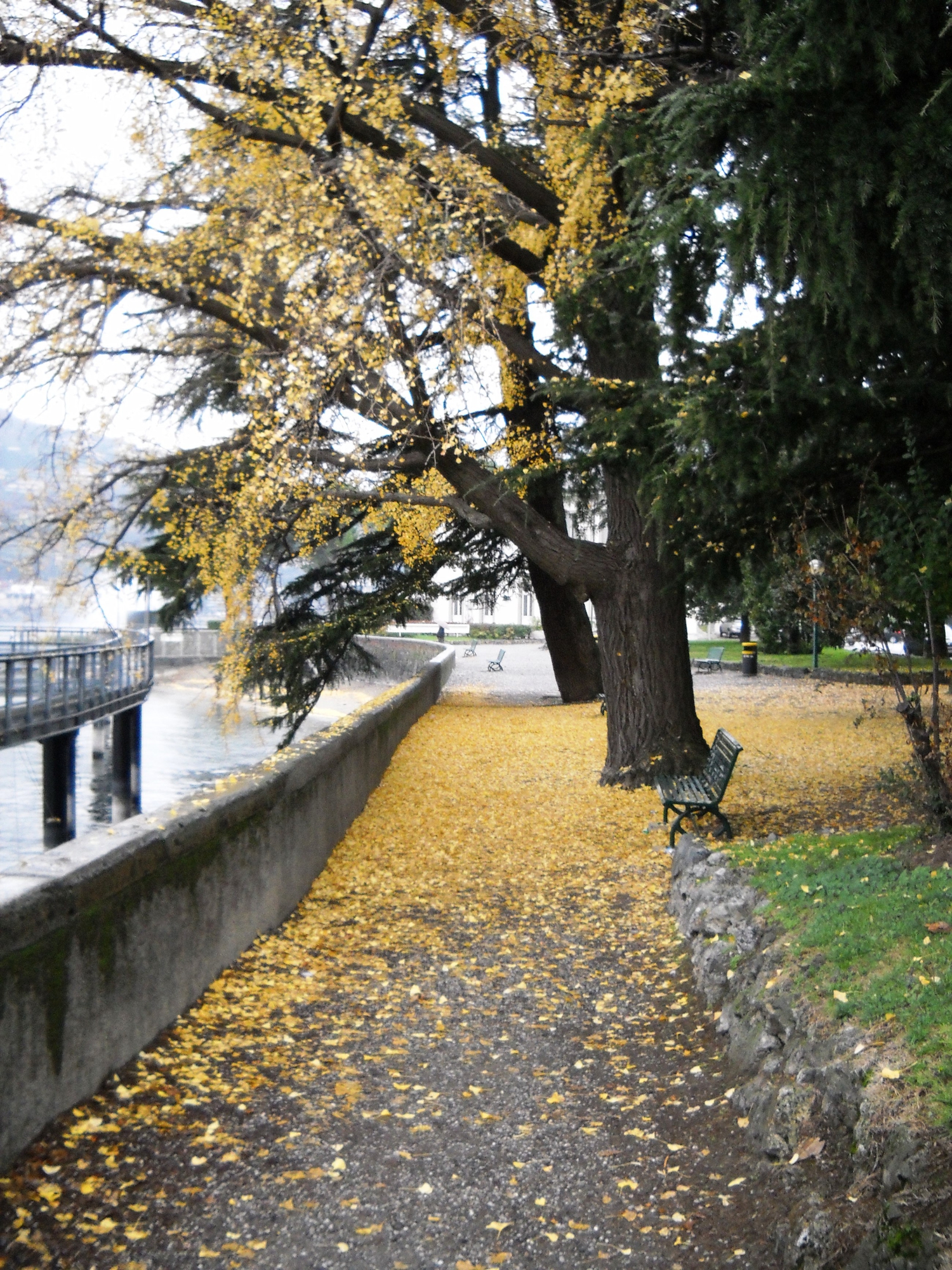 Giallo sul lago di valeriasantelli