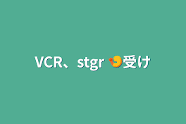 VCR、stgr  🍤受け