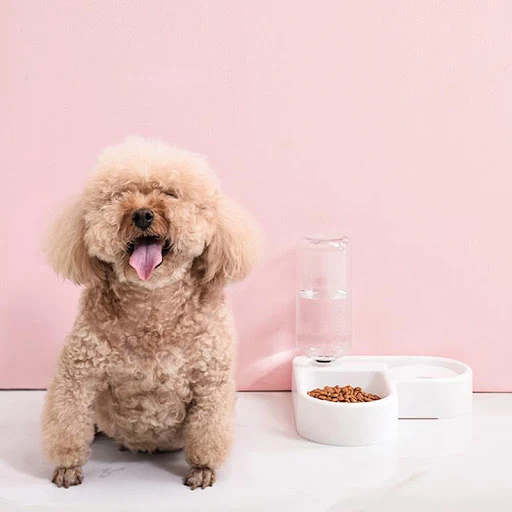 Pet Cat Feeder Bowl Dog Automatic Water Double Bowls Food Wall Corner Save Space Cats 500ml Bottle Drinking Kitten Dogs 