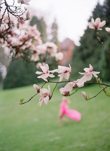 Bryllupsfotograf Oksana Bernold (seashell). Bilde av 1 mai 2017