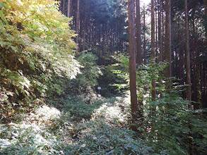 登山口が見えてきた