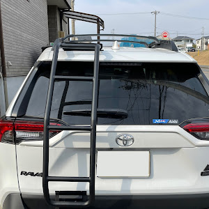 RAV4 MXAA54