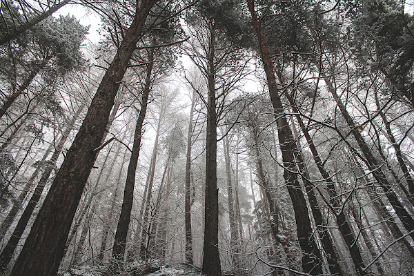 Fog In VDA di Jean-Claude.C.