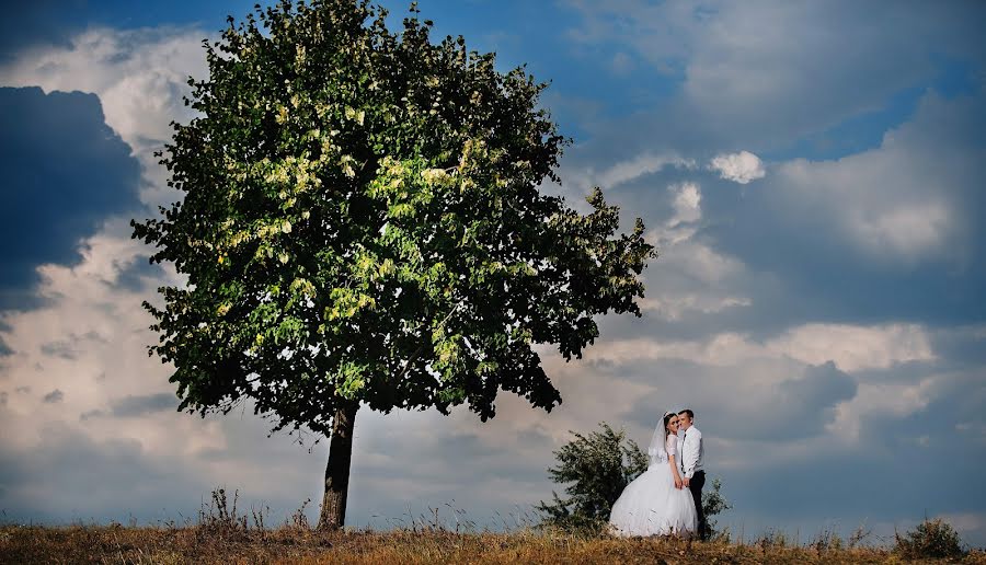 Fotógrafo de bodas Aleksey Chipchiu (mailin315). Foto del 23 de agosto 2018