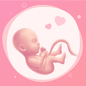 Icon Pregnancy Tracker & Baby Guide