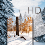 Cover Image of Descargar HD Wallpaper & Live Wallpaper (4K Wallpaper) 1.0.2 APK