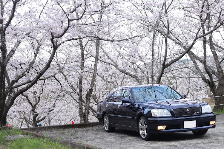 クラウンアスリートの桜とコラボ🌸・サクラと愛車・桜・桜とコラボ・N-WGN カスタムに関するカスタム事例の投稿画像5枚目