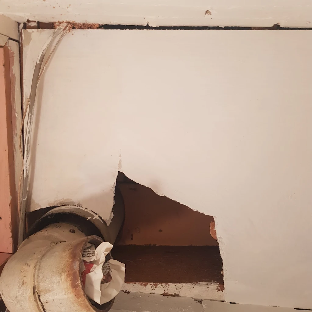 Album cover: Domestic AIB removal
