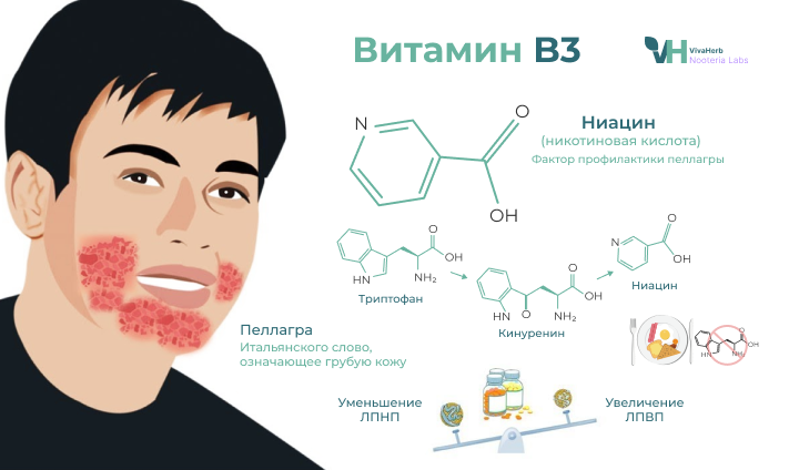 Колоть витамины вечером