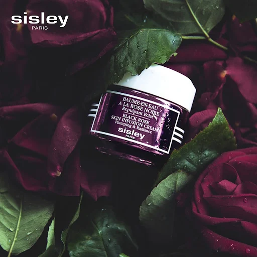 Bộ sản phẩm kem dưỡng từ hoa hồng đen Sisley Black Rose Skin Infusion Dicovery Program