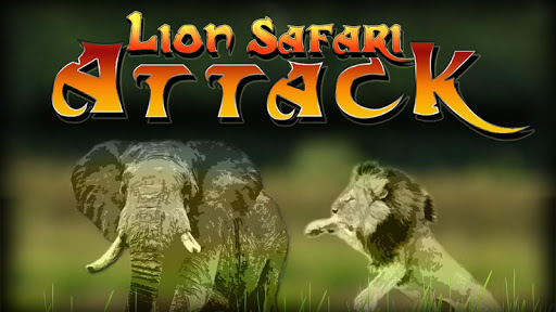 Lion Safari Attack