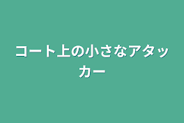 コート上の小さなアタッカー　（終わり）