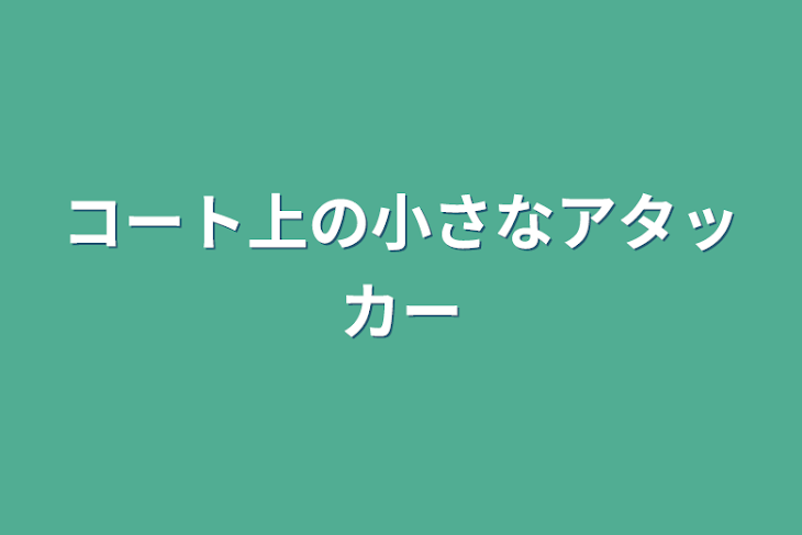 「コート上の小さなアタッカー　（終わり）」のメインビジュアル