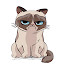 Grumpy Cat Backgrounds HD Custom Cats New Tab