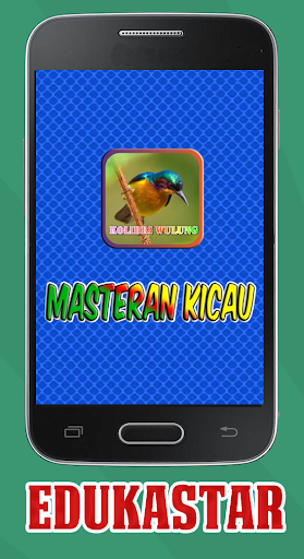 Masteran Kicau Kolibri Wulung