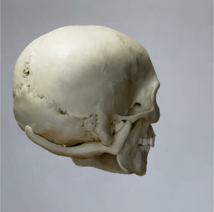 Skull 6