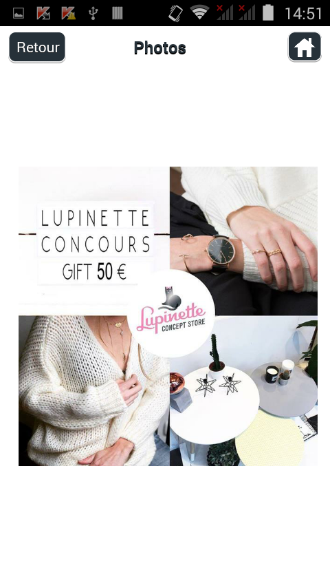 Lupinette Concept Store Screen 3