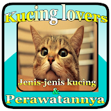 KUCING LOVERS KENALI JENIS NYA DAN PERAW