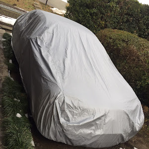 フーガ Y50型