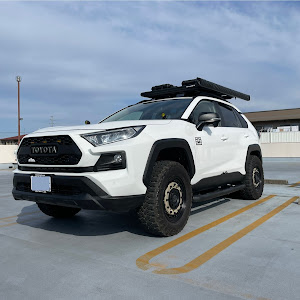 RAV4 MXAA54