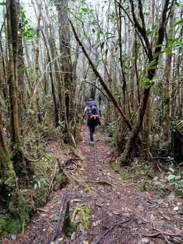 Gunung Tahan Hiking