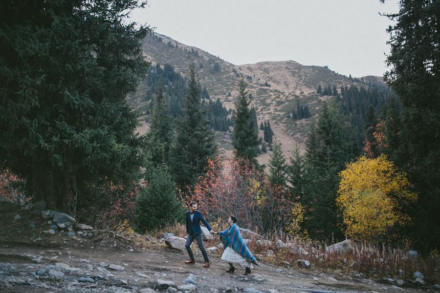 Wedding photographer Anna Bilous (hinhanni). Photo of 14 December 2014