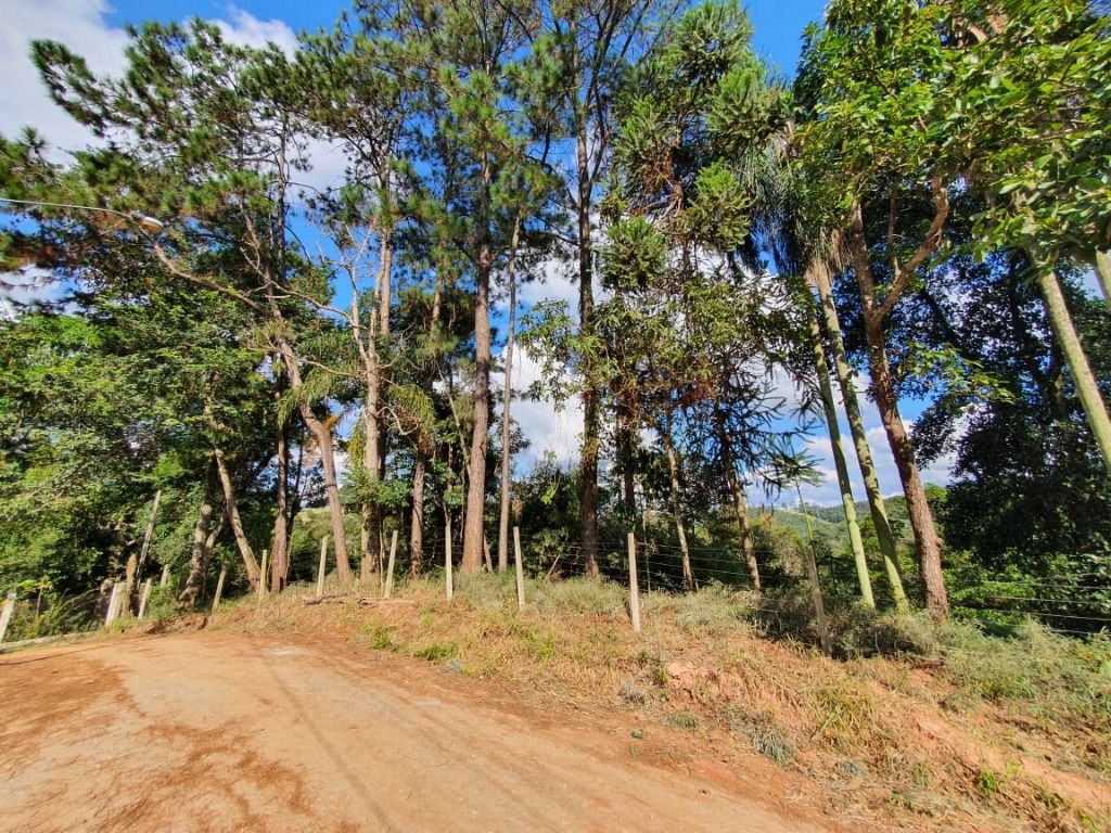 Terrenos à venda Bairro da Lagoa