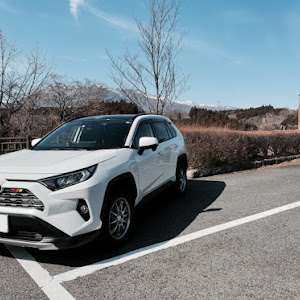 RAV4 MXAA54